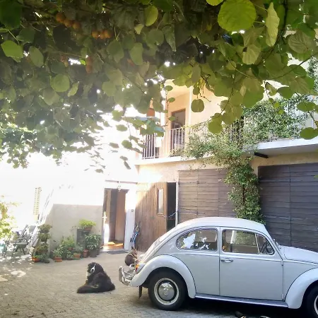 Bed and breakfast Movimento